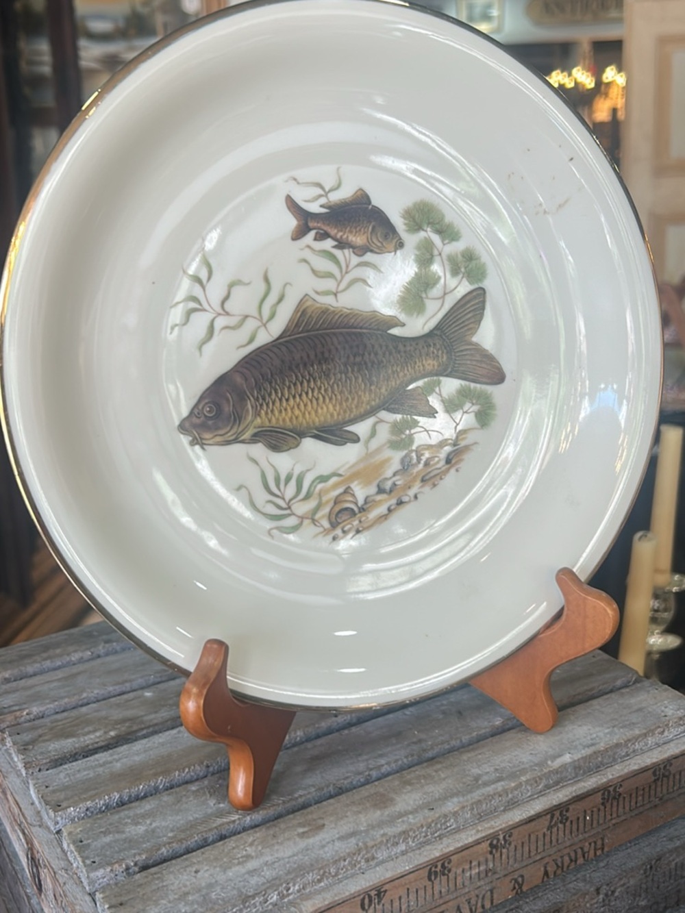 Porcelain Fish Decorative Plate in Cream and Brown